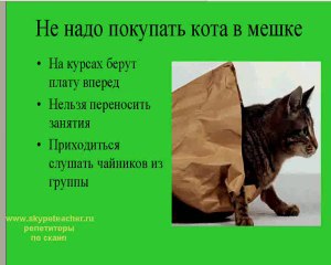 Курсы английского языка с носителем Москва