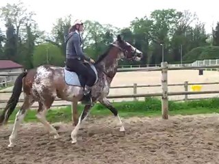 debourrage PRINTING COLOR