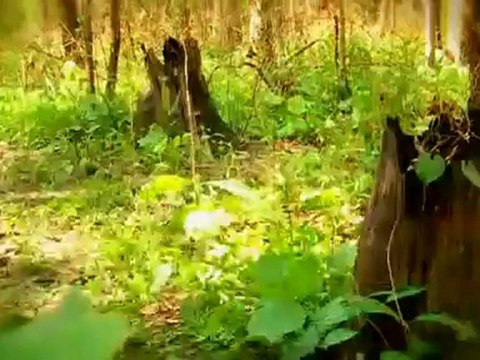 รายการ Market Place ประจำวันที่ 8 พ.ค. 2555