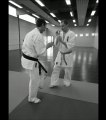 karaté kyokushin rupéen