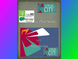 3C Lotus City Plots