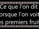 076 Ce que l'on dit lorsque l'on voit les premiers fruits vostfr by tiss38din