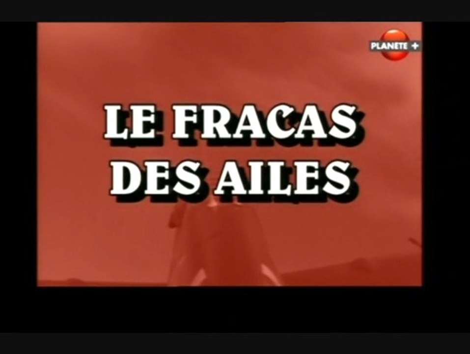 Le fracas des ailes (La leçon de l'Afrique du Nord)