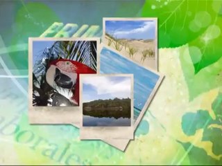 Naturaleza al día: “El pez león”