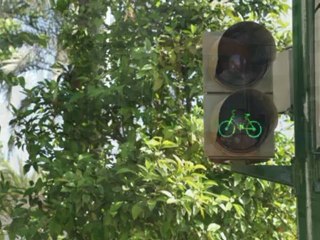 10 Seguridad Vial Semáforos 4 parte