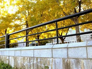 Trailer MTL 551 - Parkour Freerun 2012