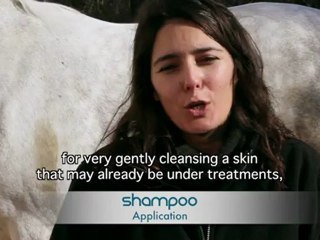 animaderm - Shampoo application (english)