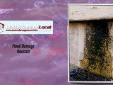 Houston Flood Damage ~ Sewage Extraction