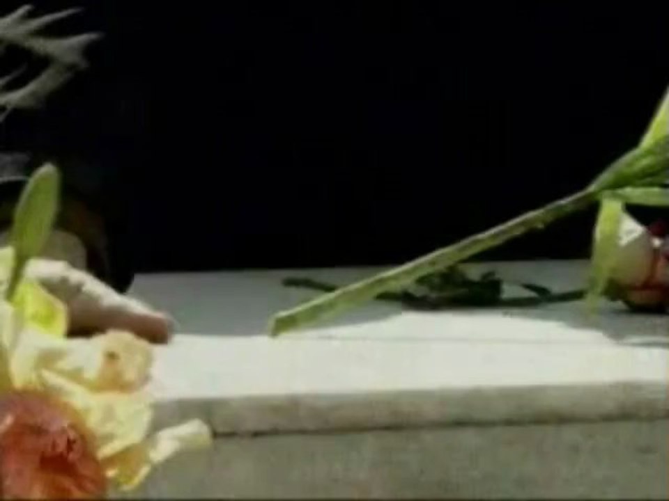 Cesar Evora  y Laura Flores  Mundo de fieras