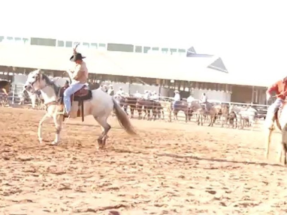 ropershow