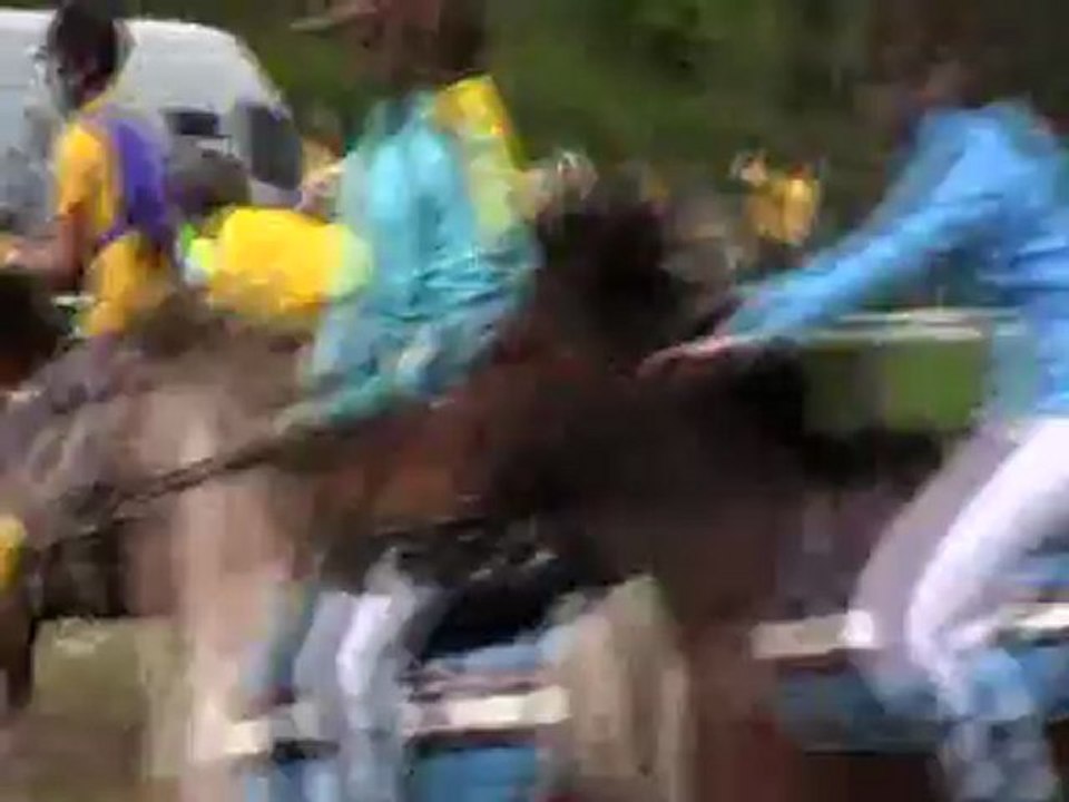 Championnats régionnaux 2012