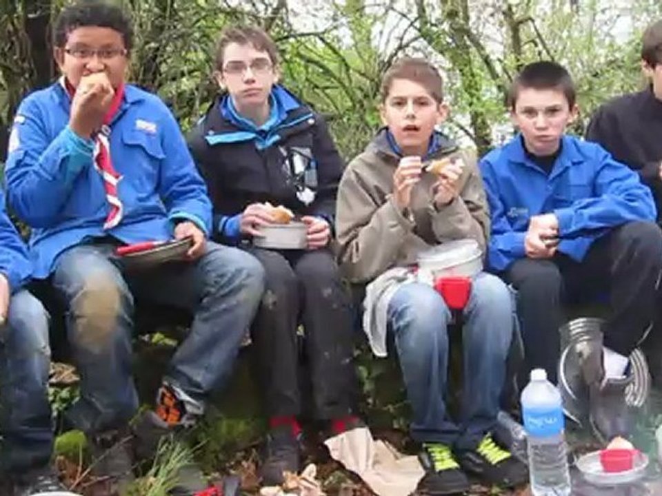 revue des troupes