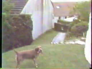 POOP VISUAL EFFECT 1983 JVC GR C1