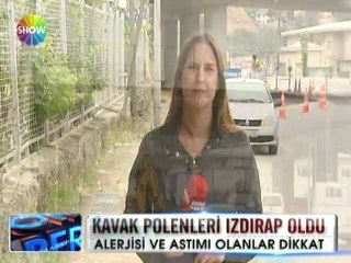 Kavak polenlerine dikkat - 14 mayıs 2012
