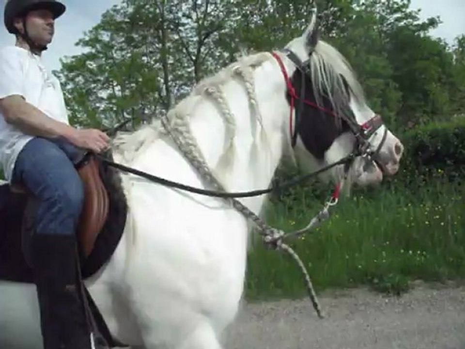 Baptême à cheval papa