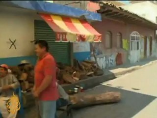 Mexican town fights against illegal logging