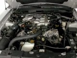 2000 Ford Mustang Longwood FL - by EveryCarListed.com