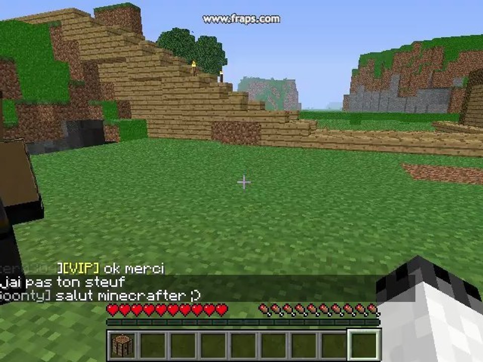 minecraft volé