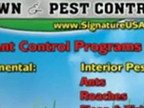 Pest Control Tampa|Quality Pest Control Tampa Bay 877-504-0009