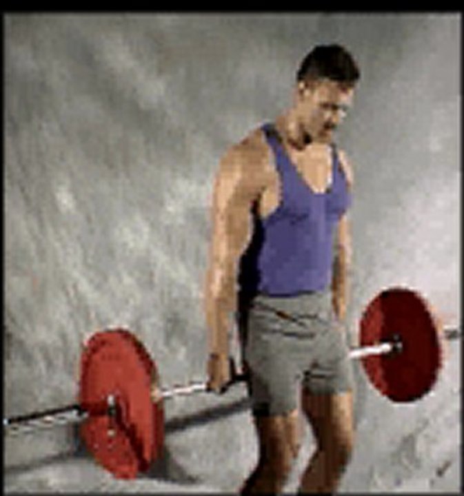 A. K. Ö. barbell_standing_forearm_flexion