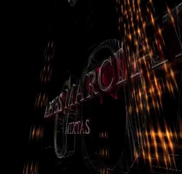 Academia de Artes Marciales Mixtas Goa