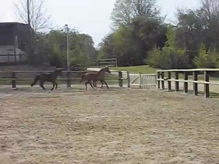 Romeo de Galande fait la course avec Quiara !