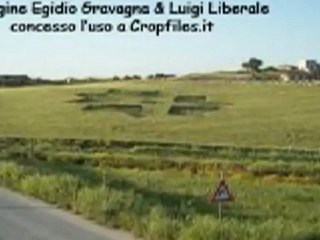 crop circles .Riesi, Sicile. Italie. 05.05.2012