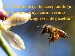 40 HADİS-GÜZEL AHLAK