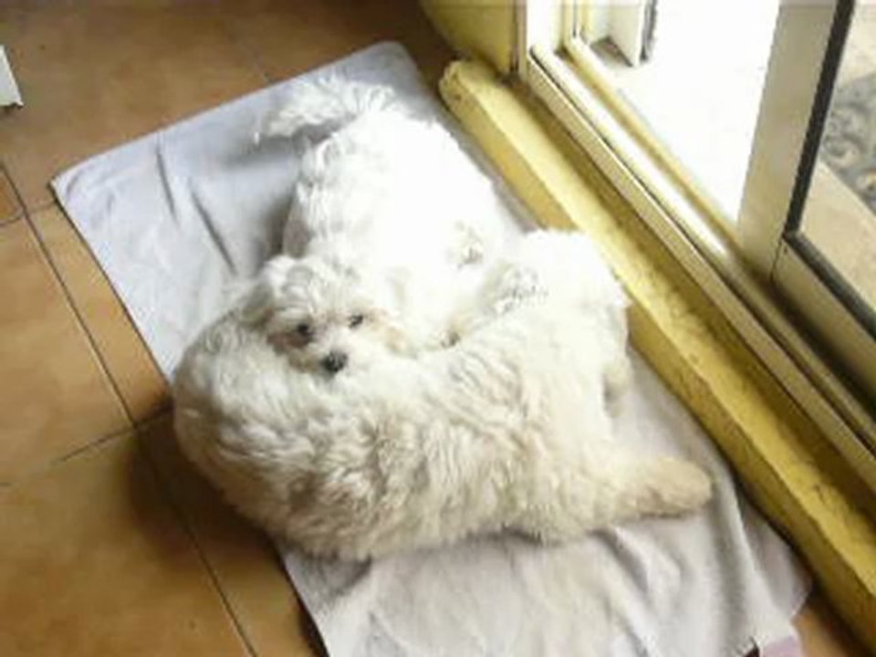 Dodo avec papa 3 mois