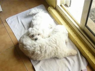 Dodo avec papa 3 mois