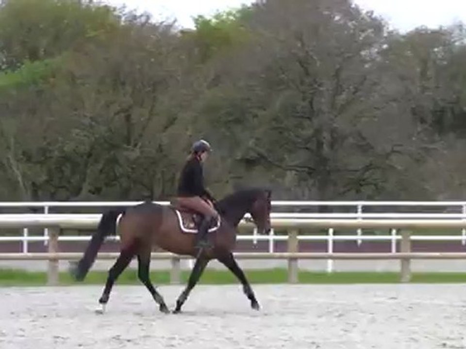 Isa et Ukatina Hit du Lys IV