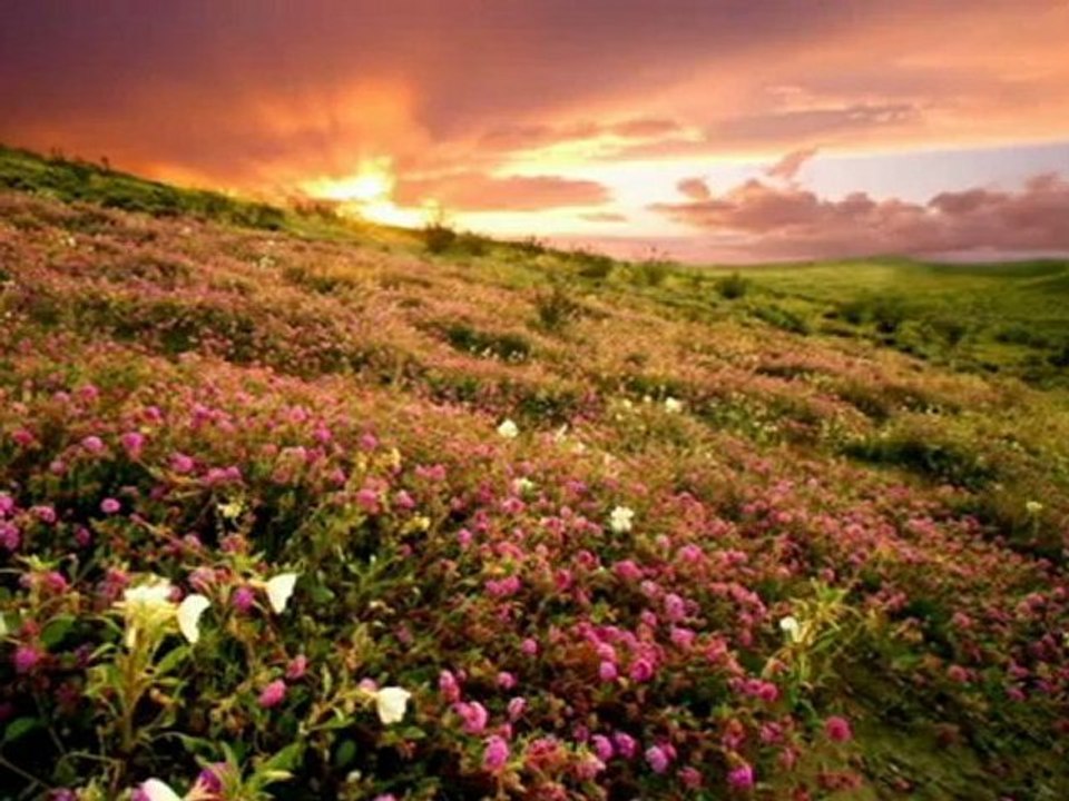احلى صوت اذان في العالم