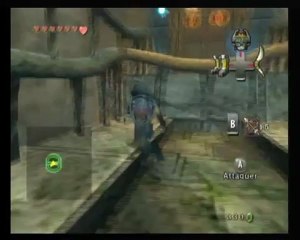 The legend of Zelda Twilight Princess [13] Le Temple Abysasale Partie 1