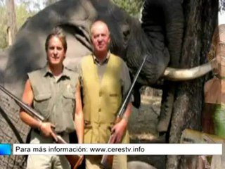 Los Reyes no celebrarán sus bodas de oro