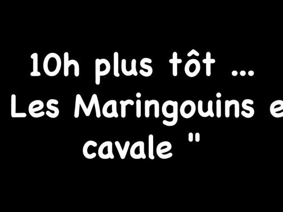 Les Maringouins en cavale