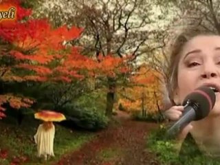 Ayşe  TAŞ    "SABRIMI  ÖZLEMLİ  YILLARA  SALDIM  "