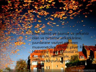 Risale-i Nurdan 7.şua-1