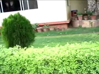 TIBBET AND DAI JOKYO TEMPLE BODH GAYA