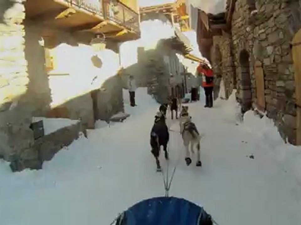 Sur le traîneau du champion