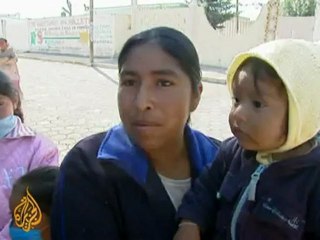 Mexican pig farm in La Gloria under spotlight - 02 May 09