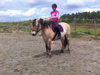 Fjord Cours ado débutante