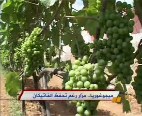 ميجوغوريا.. مزار رغم تحفظ الفاتيكان