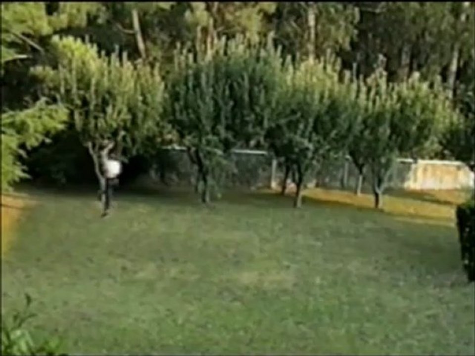 Ricardo Piñeiro Ribas 21 Septembre 2001