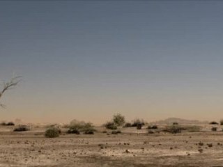 Pub drink-milk (sabretooth)