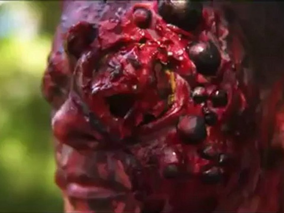 The Sky Has Fallen -Trailer (Englisch)