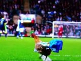 Fans of Relegated British Soccer Team Throw Chickens in Protest