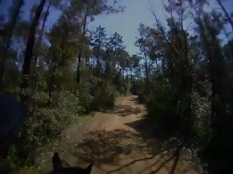 Retour vers la forêt - YouTube