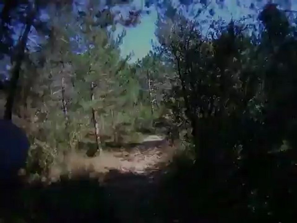 Petit chemin forêt - YouTube