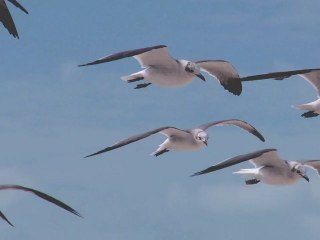 Festival de los Mundos Posibles spot 3