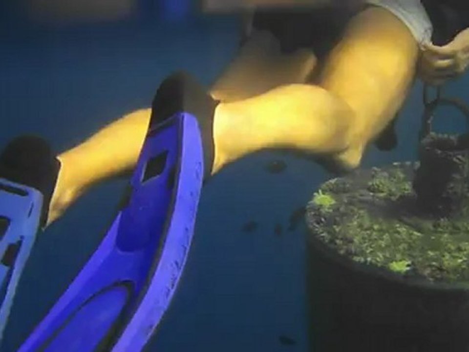 en attente au palier à 3 mètres